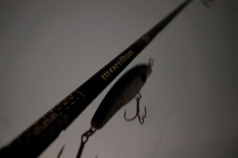 まず投げろ、とボラが言っている