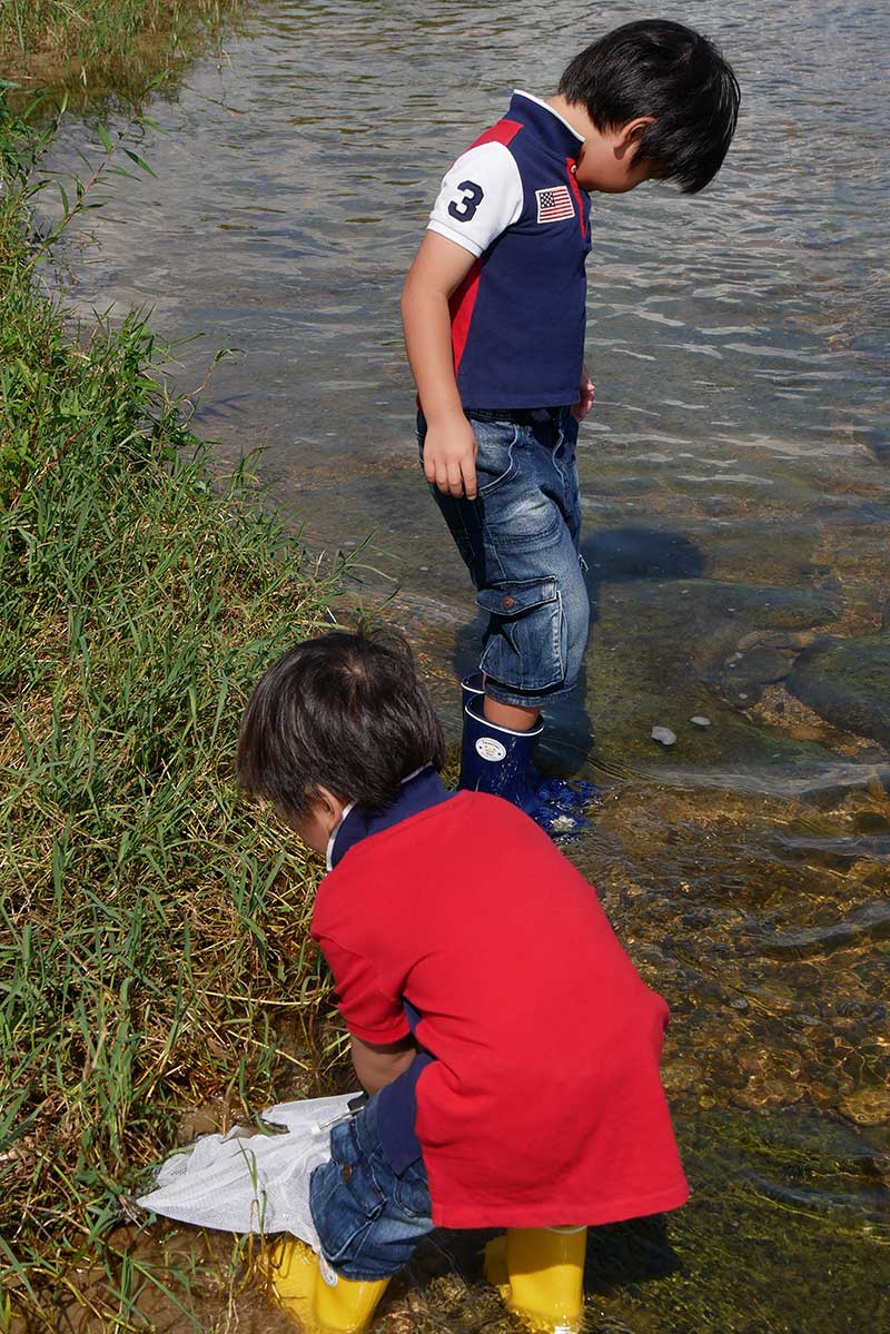 武庫川でガサガサ