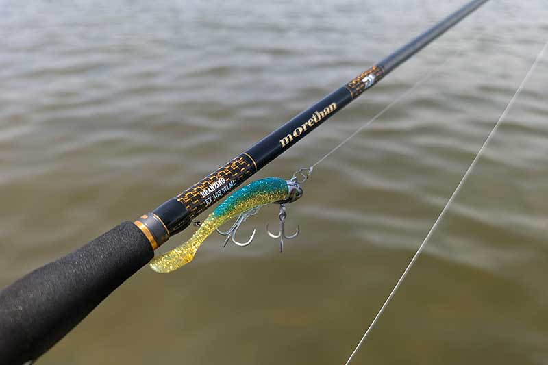 アルカリシャッドと海