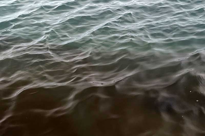 赤茶と緑に分かれた海の色