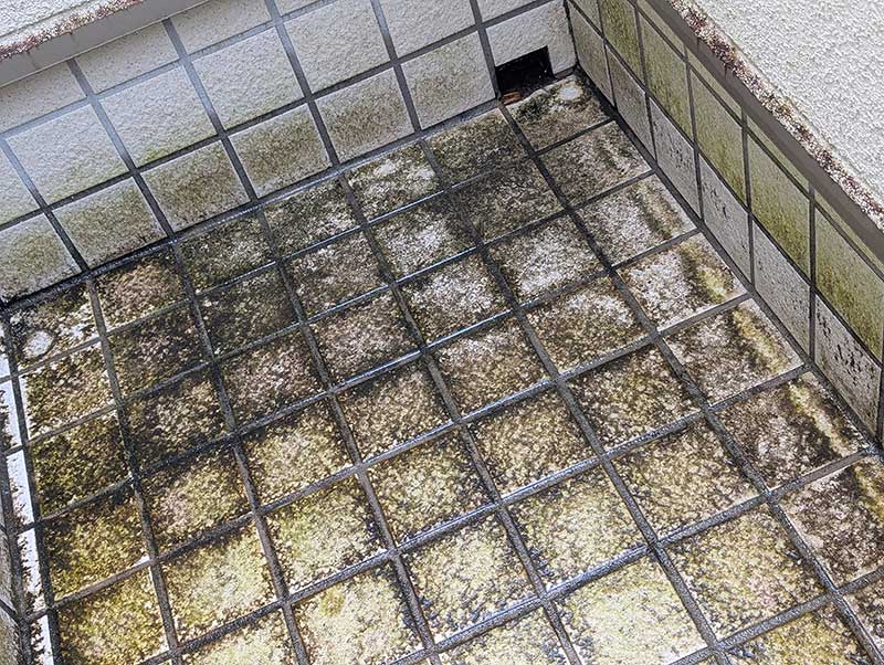 大量に苔がついたベランダのタイル