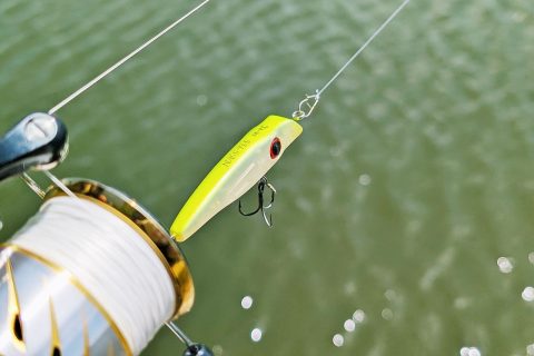 たまには遊べ、と川が言っている