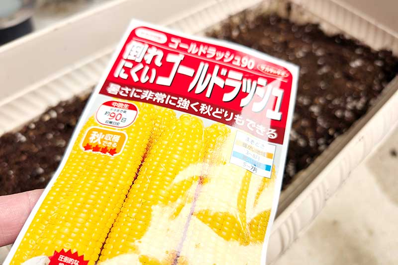 ゴールドラッシュ・トウモロコシの種