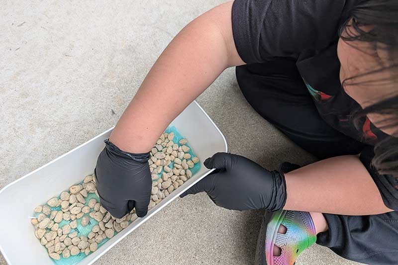 白いプランターにネットを敷いて、底石を敷き詰める次男君