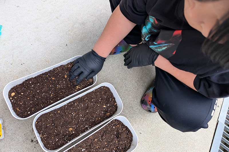 プランターに入れた土を均す次男君