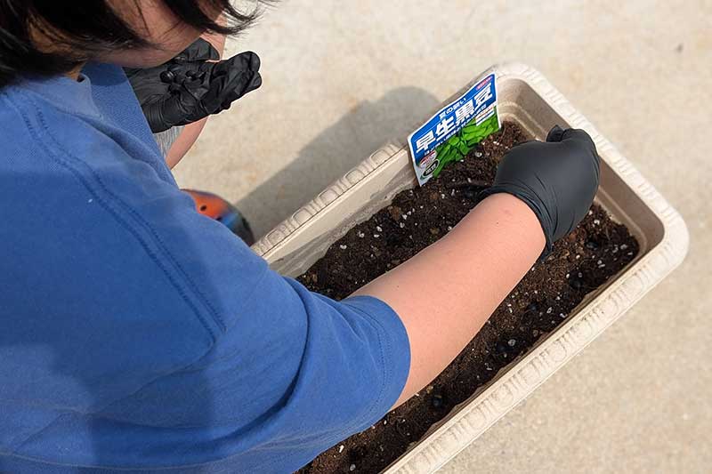 プランターの土を均す次男君