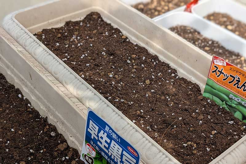 プランターへの種植えが完了!大小5つのプランターが並んでいる