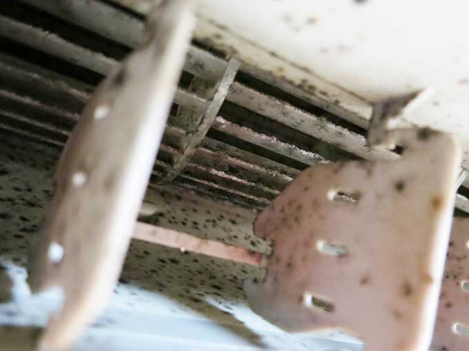 夏の準備!エアコン掃除!!