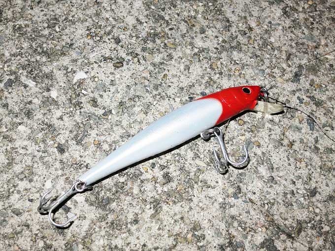 シーバスハンター