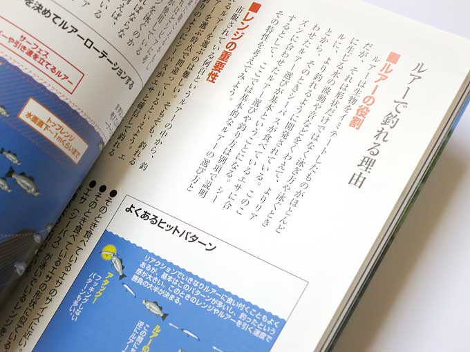 シーバス (人気つり魚シリーズ)