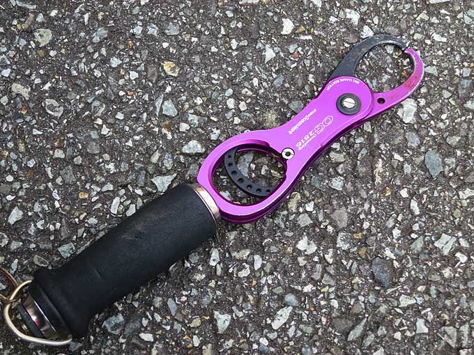 フィッシュグリップ