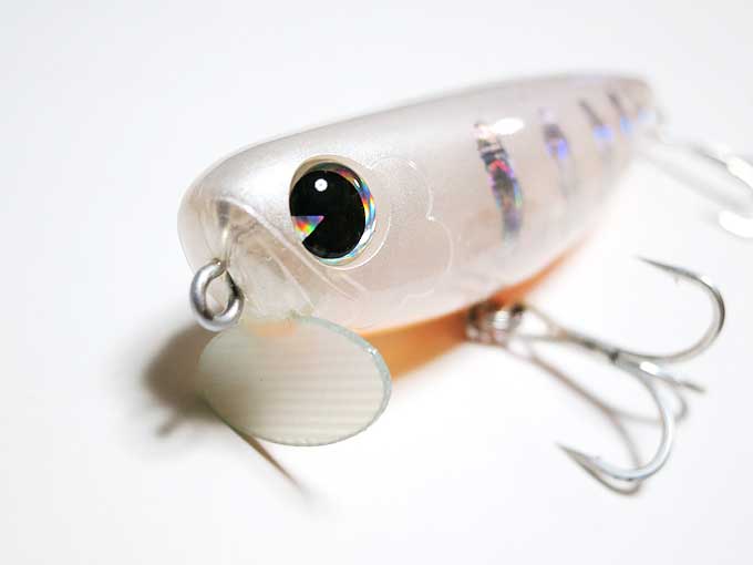 ima molmo80 (アイマ・モルモ80)