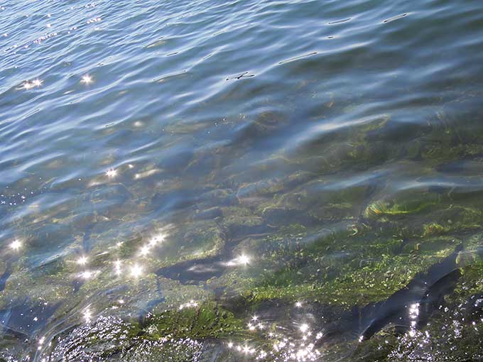 ルアーの根掛かりについて