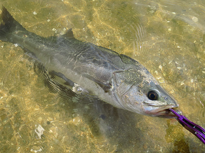 季節別の釣り方について