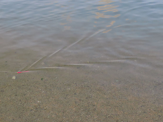 フィールで引き波