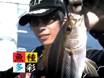 旬の釣り・堤防での両軸遠投カゴ釣り