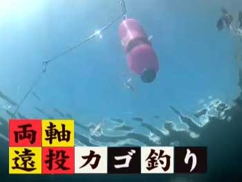 旬の釣り・堤防での両軸遠投カゴ釣り