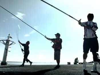 旬の釣り・堤防での両軸遠投カゴ釣り