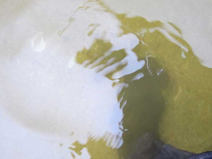 ウェーディングについて